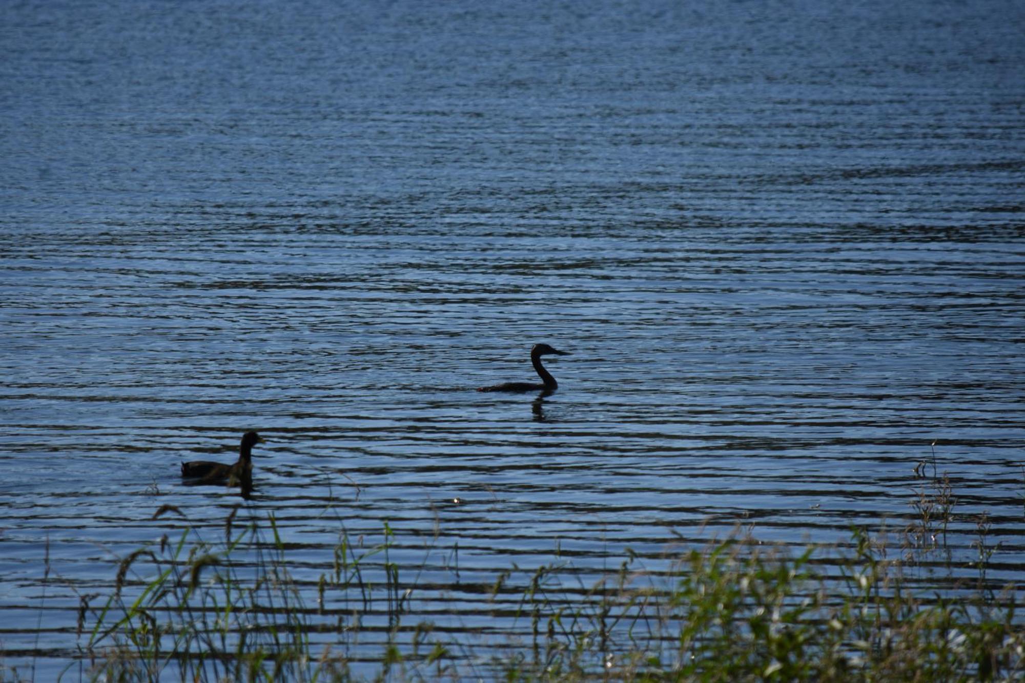 Peperina Lago Los Molinos Villa Ciudad de America Buitenkant foto