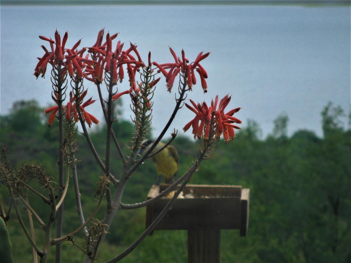Peperina Lago Los Molinos Villa Ciudad de America Buitenkant foto